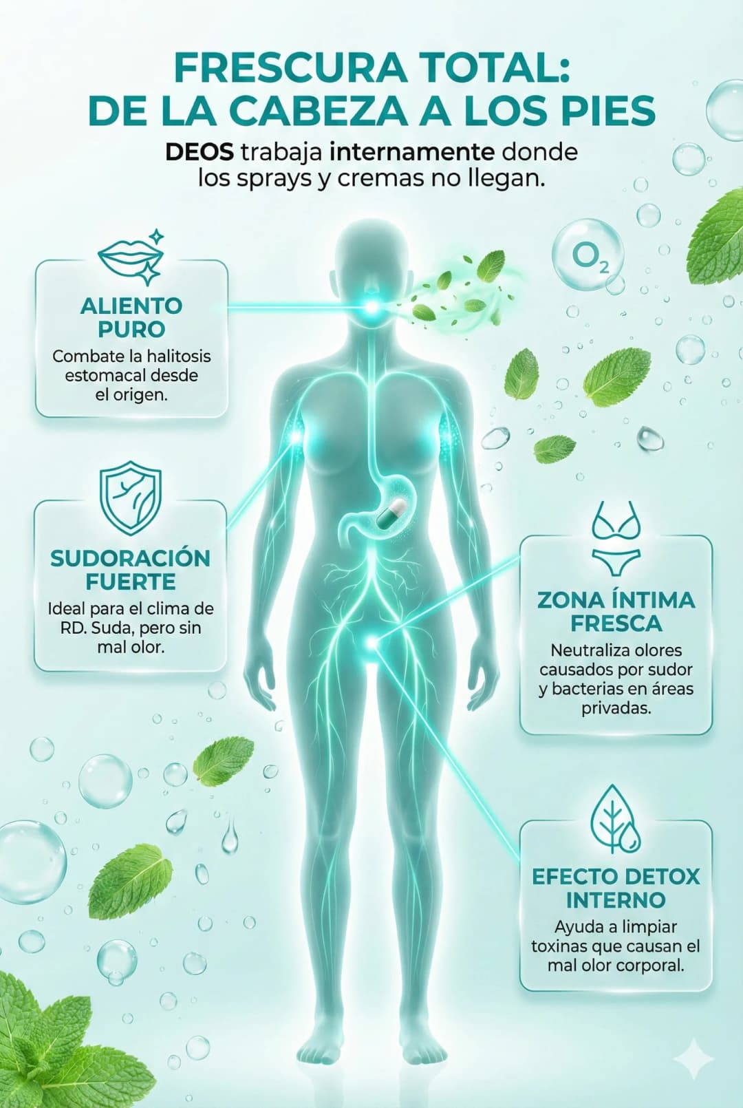 Frescura total de la cabeza a los pies